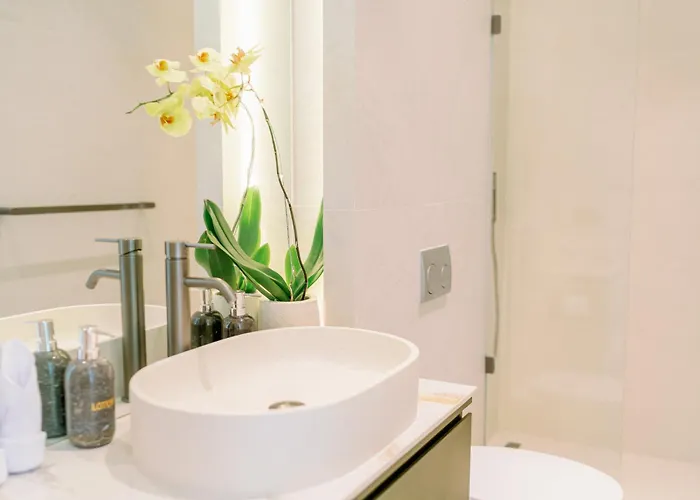 The Oasis Iii Smart By Breig