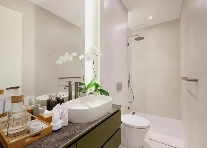 The Oasis Iii Smart By Breig *